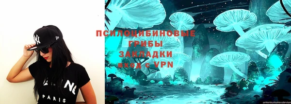 прущая мука Богородск